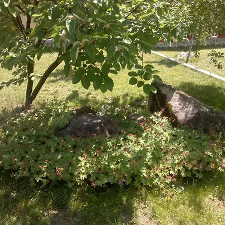 Vakantiehuis Nanevi *